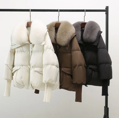 ELEGANT COAT