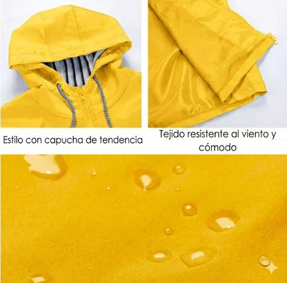 WATERPROOF AND WINDPROOF JACKET